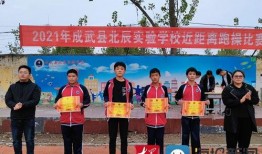 成武五中爆料新闻视频下载,视频内容深度解析