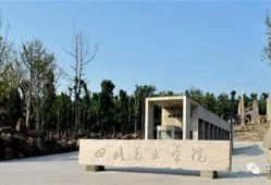 四川美术学院爆料事件最新,真相与反思