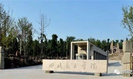 四川美术学院爆料事件最新,真相与反思