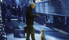 忠犬蓝波电影在线观看,忠诚守护，生死相依