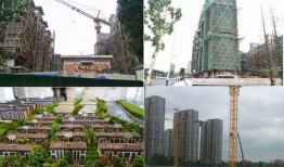 邢台楼盘爆料事件真相视频,揭露背后惊人内幕