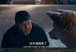 忠犬蓝波电影在线观看,忠诚守护，生死相依