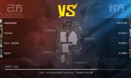 和平精英李灿爆料视频播放,独家爆料视频播放背后的故事