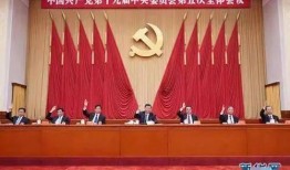 成武五中爆料新闻视频下载,视频内容深度解析