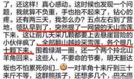 爆料雪莲视频,揭秘神秘事件背后的惊人真相