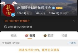 娱乐圈吃瓜指南微博,揭秘明星幕后故事，带你领略八卦风云