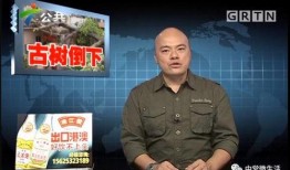 dv现场视频爆料,dv视频揭露真实事件瞬间