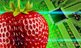 冰点草莓爆料视频完整版,揭秘娱乐圈幕后真相