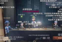 流萤战技爆料视频,全新爆料视频带你领略神秘技能魅力