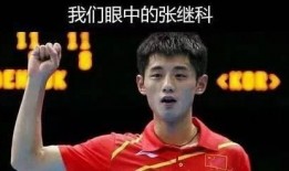 张继科内部爆料微博视频,揭秘乒乓球界不为人知的幕后故事