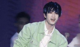 爆料娱乐圈敖子逸小说,敖子逸的璀璨星途