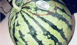 网红吃瓜爆料,娱乐圈幕后真相大曝光！