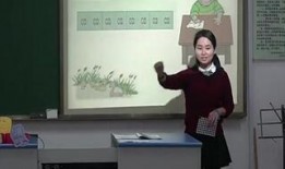 宋洁出狱爆料视频在线观看,揭秘狱中生活与幕后真相