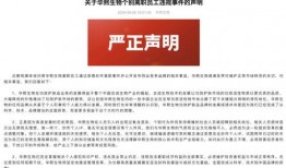 财务爆料娱乐公司