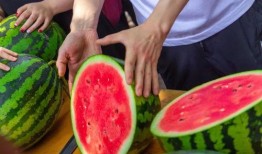 吃瓜网页免费,免费畅享娱乐资讯的全新体验