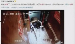 爆料小孩家暴视频大全集,小孩家暴视频大全集深度剖析