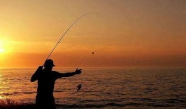 爆料钓鱼真相大全视频下载,揭秘“爆料钓鱼真相大全”背后的秘密