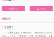 踏雪爆料 今日头条小说,今日头条小说背后的精彩故事