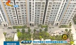 邢台楼盘爆料事件真相视频,揭露背后惊人内幕