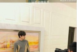明星背后故事视频大爆料,那些不为人知的真实故事大爆料