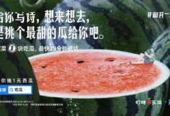 吃瓜娱乐文案,揭秘明星幕后故事