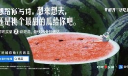 吃瓜娱乐文案,揭秘明星幕后故事