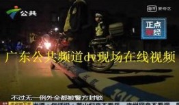 dv现场视频爆料,dv视频揭露真实事件瞬间