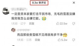 爆料雪莲视频,揭秘神秘事件背后的惊人真相