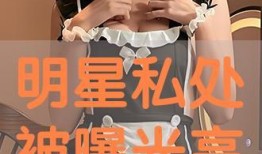 艺艺艺爆料视频,娱乐圈幕后真相大曝光
