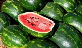 娱乐吃瓜素材视频