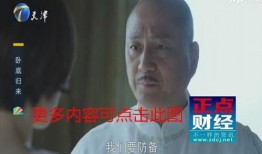 天津卫视回看在线观看,重温精彩瞬间，在线观看无限可能