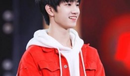 爆料娱乐圈敖子逸小说,敖子逸的璀璨星途