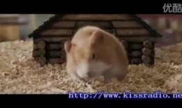 豚鼠特工队在线观看,萌宠特工大冒险