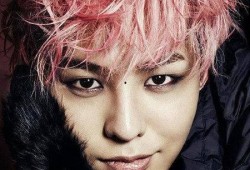 权志龙圈内爆料,揭秘娱乐圈背后的真实故事