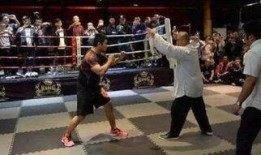 武术大师爆料视频,独家爆料视频背后的惊人真相