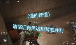 好吊包视频在线观看