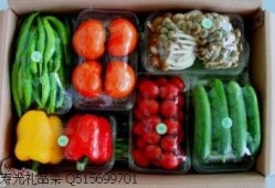 钛9吃瓜爆料最新视频,最新吃瓜视频深度解析