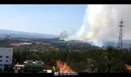 爆料常德山火视频最新