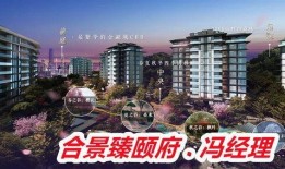 雷府最新爆料,最新爆料背后的惊人真相