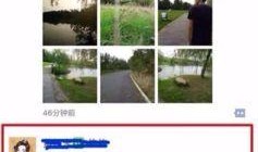 在微博上新闻爆料找谁,揭秘新闻背后真相！”