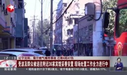 爆料沈阳饭店事件视频,惊人一幕引发社会关注