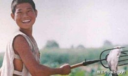 嘎子哥爆料王宝强视频在线观看,王宝强视频在线观看背后的故事