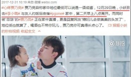 多路狗仔爆料视频大全集,多路爆料视频大全集深度解析