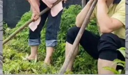 娱乐八卦一定是吃瓜群众的吗