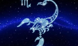 天蝎 在线观看,暗夜猎手，在线揭秘神秘世界