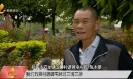 桂平最新爆料新闻报道,揭秘惊人内幕，真相令人震惊！