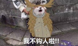 鹿头皮肤爆料视频,独家爆料视频深度解析