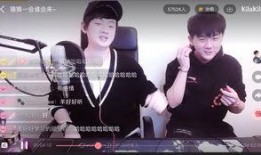 羊仔爆料花絮大全视频播放