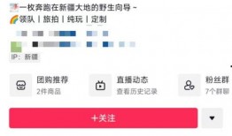 新疆导游爆料视频,揭秘神秘新疆背后的真实故事