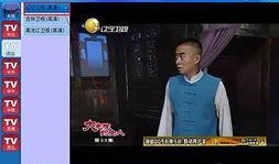 电视频道直播在线观看